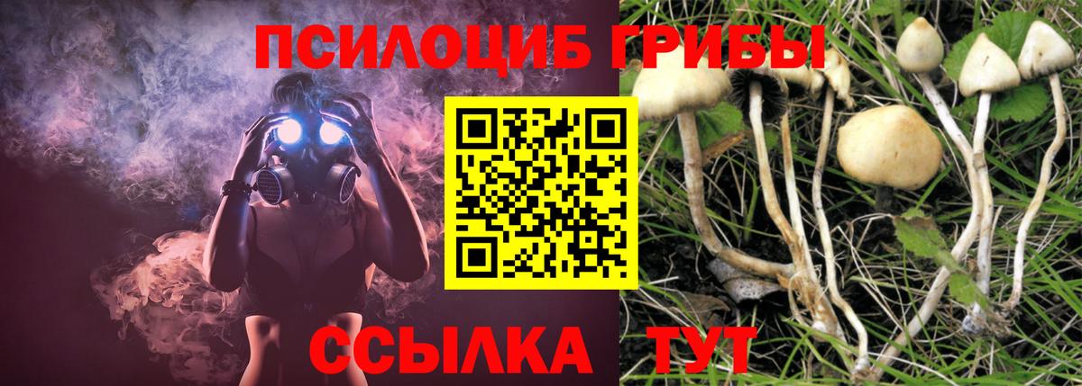 Псилоцибиновые грибы мухоморы Орехово-Зуево